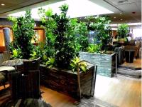Inscape Indoor Plant - Best Indoor Plant Provider  image 3